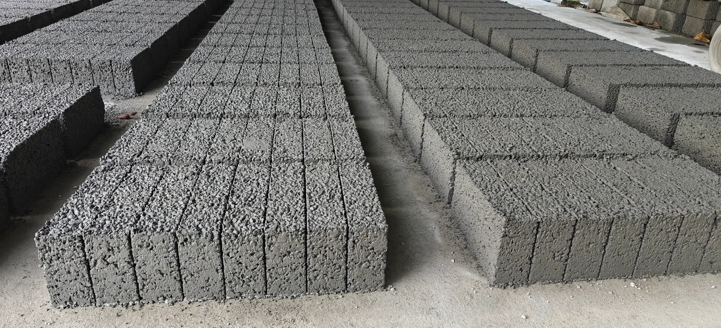 Long rows of cured cement blocks in the yard