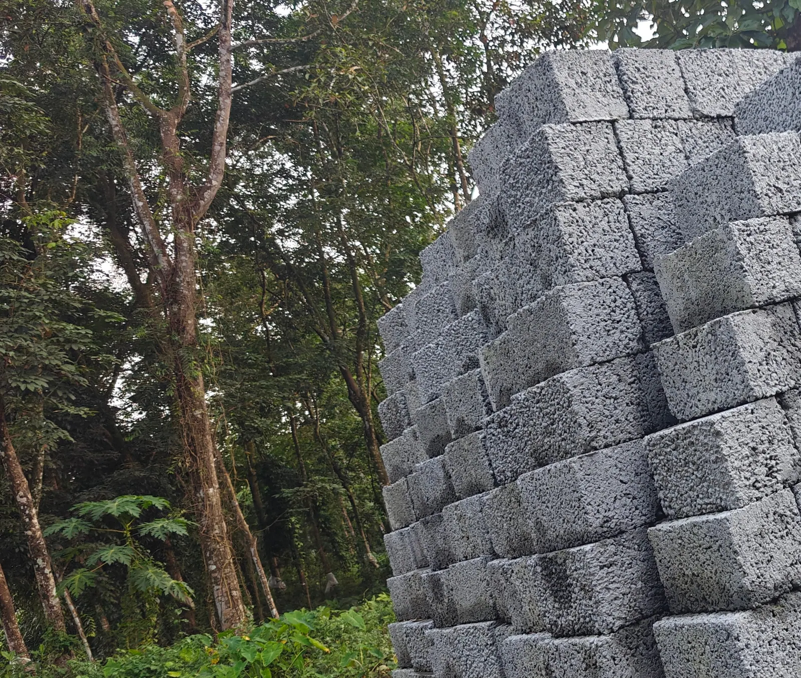 Cured blocks stacked high in the yard, with the treeline behind